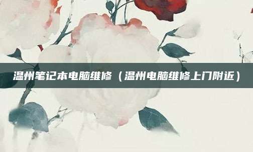 温州笔记本电脑维修（温州电脑维修上门附近）