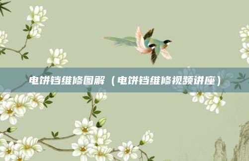 电饼铛维修图解（电饼铛维修视频讲座）