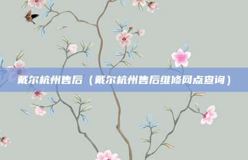 戴尔杭州售后（戴尔杭州售后维修网点查询）