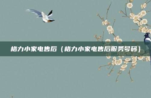 格力小家电售后（格力小家电售后服务号码）