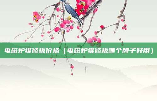 电磁炉维修板价格(电磁炉维修板哪个牌子好用)
