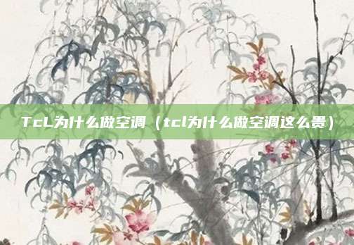 TcL为什么做空调(tcl为什么做空调这么贵)