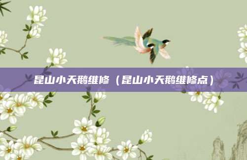 昆山小天鹅维修(昆山小天鹅维修点)