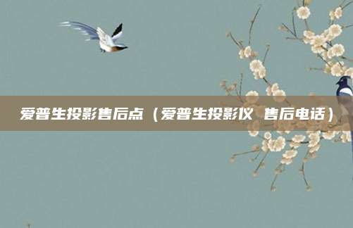 爱普生投影售后点(爱普生投影仪 售后电话)
