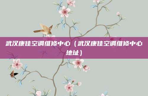 武汉康佳空调维修中心(武汉康佳空调维修中心地址)
