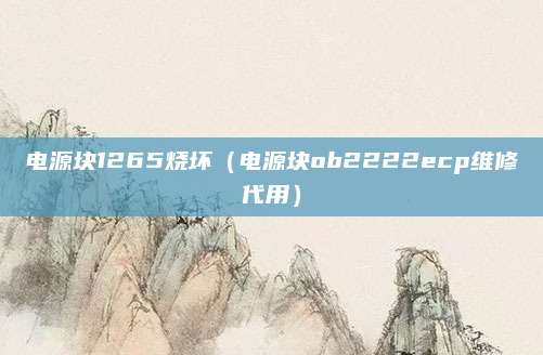 电源块1265烧坏(电源块ob2222ecp维修代用)
