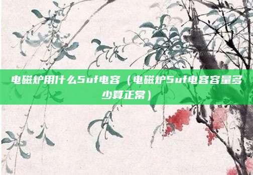 电磁炉用什么5uf电容（电磁炉5uf电容容量多少算正常）