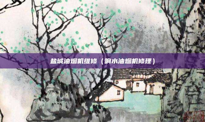 盐城油烟机维修（响水油烟机修理）