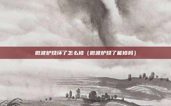 微波炉烧坏了怎么修（微波炉烧了能修吗）