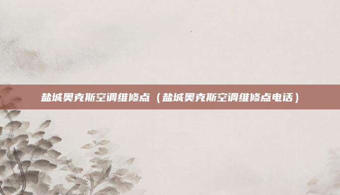 盐城奥克斯空调维修点（盐城奥克斯空调维修点电话）
