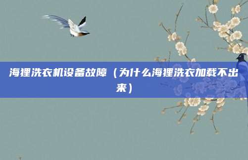海狸洗衣机设备故障（为什么海狸洗衣加载不出来）