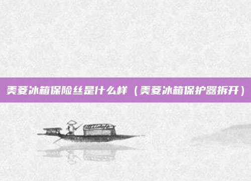 美菱冰箱保险丝是什么样（美菱冰箱保护器拆开）