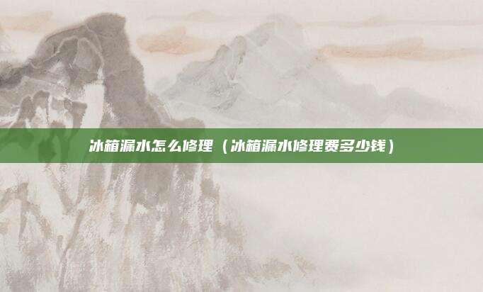 冰箱漏水怎么修理（冰箱漏水修理费多少钱）