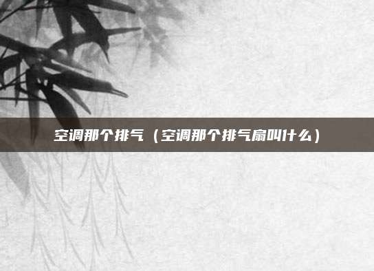 空调那个排气(空调那个排气扇叫什么)