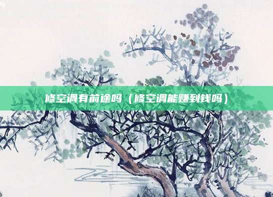 修空调有前途吗(修空调能赚到钱吗)