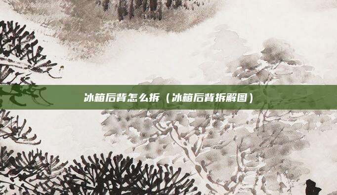 冰箱后背怎么拆(冰箱后背拆解图)