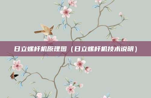 日立螺杆机原理图(日立螺杆机技术说明)