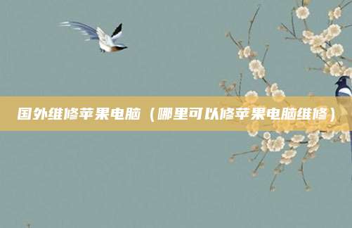 国外维修苹果电脑（哪里可以修苹果电脑维修）