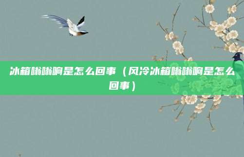 冰箱嗡嗡响是怎么回事（风冷冰箱嗡嗡响是怎么回事）