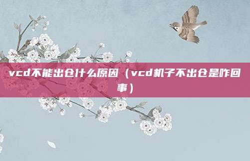 vcd不能出仓什么原因（vcd机子不出仓是咋回事）