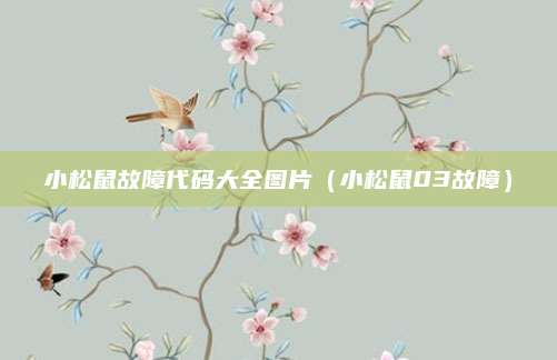 小松鼠故障代码大全图片（小松鼠03故障）