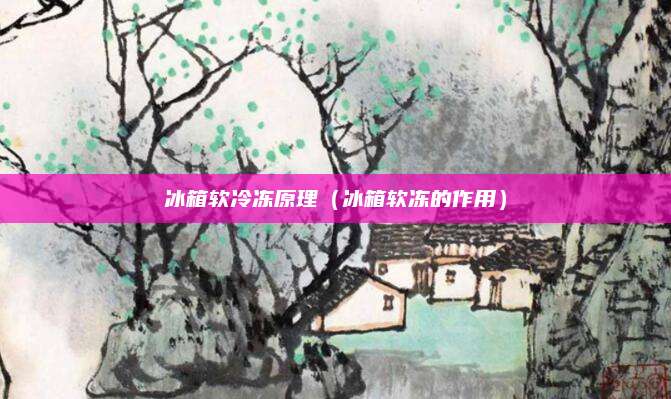 冰箱软冷冻原理(冰箱软冻的作用)