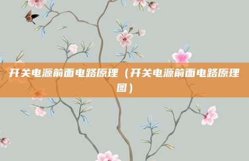开关电源前面电路原理（开关电源前面电路原理图）