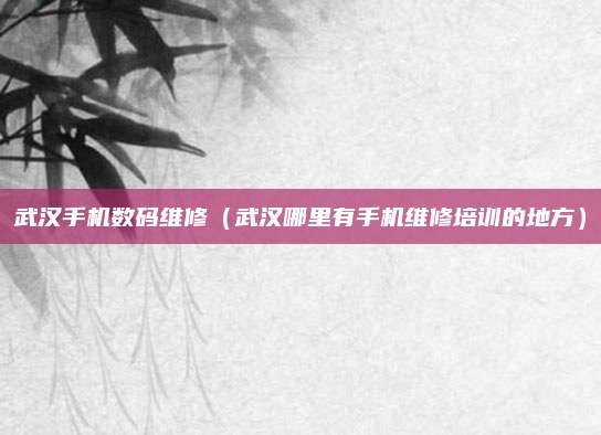 武汉手机数码维修(武汉哪里有手机维修培训的地方)