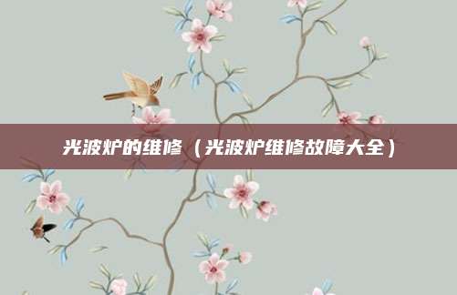 光波炉的维修（光波炉维修故障大全）