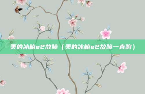 美的冰箱e2故障（美的冰箱e2故障一直响）