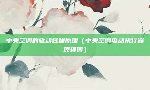 中央空调的驱动过程原理(中央空调电动执行器原理图)