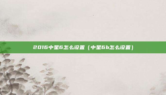 2016中星6怎么设置（中星6b怎么设置）
