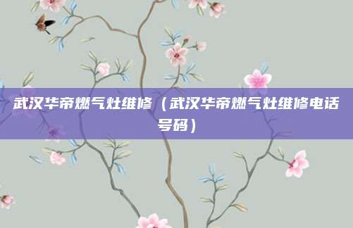 武汉华帝燃气灶维修（武汉华帝燃气灶维修电话号码）