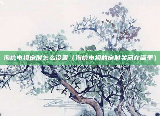 海信电视定时怎么设置（海信电视的定时关闭在哪里）