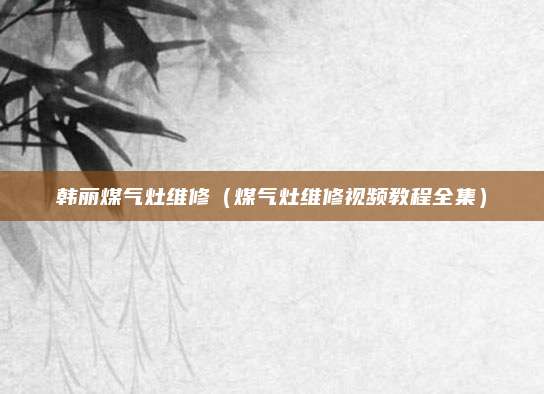韩丽煤气灶维修（煤气灶维修视频教程全集）