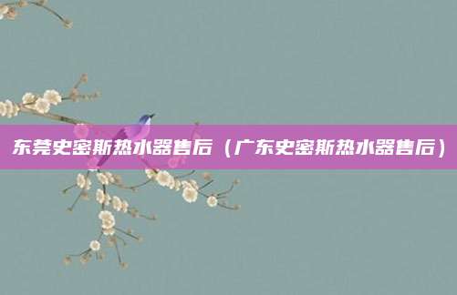 东莞史密斯热水器售后（广东史密斯热水器售后）