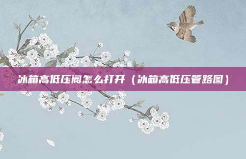 冰箱高低压阀怎么打开（冰箱高低压管路图）