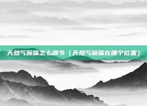 天然气喷嘴怎么调节（天然气喷嘴在哪个位置）