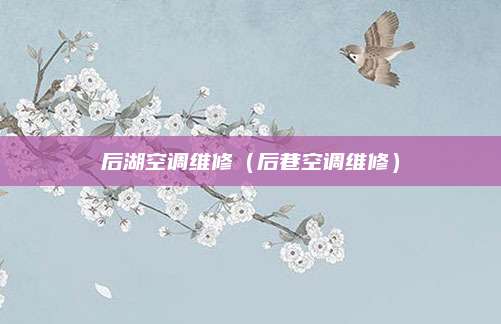 后湖空调维修（后巷空调维修）