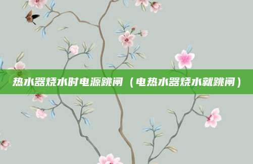 热水器烧水时电源跳闸（电热水器烧水就跳闸）