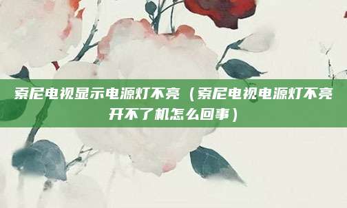 索尼电视显示电源灯不亮（索尼电视电源灯不亮开不了机怎么回事）