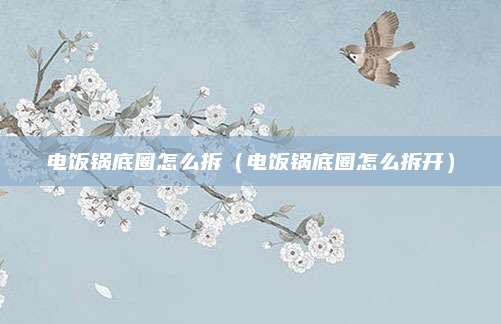电饭锅底圈怎么拆（电饭锅底圈怎么拆开）