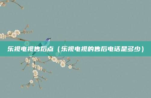 乐视电视售后点（乐视电视的售后电话是多少）