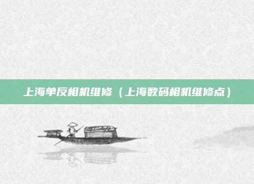 上海单反相机维修（上海数码相机维修点）