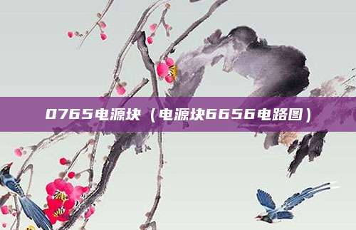 0765电源块（电源块6656电路图）