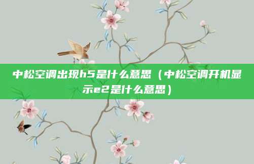 中松空调出现h5是什么意思（中松空调开机显示e2是什么意思）
