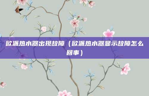 欧派热水器出现故障（欧派热水器显示故障怎么回事）