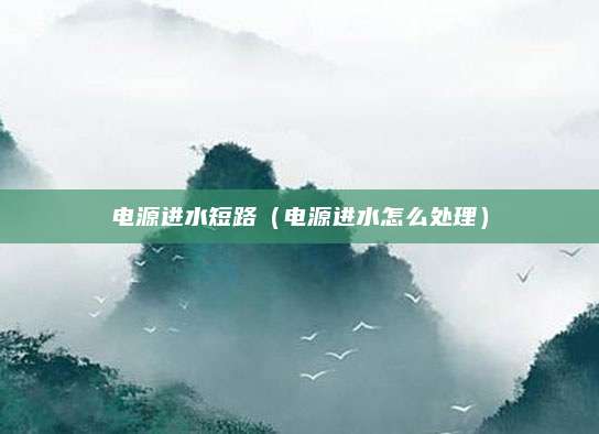 电源进水短路（电源进水怎么处理）