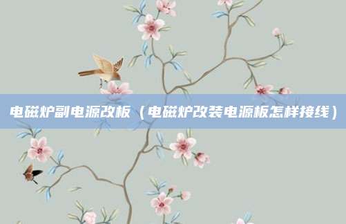 电磁炉副电源改板（电磁炉改装电源板怎样接线）