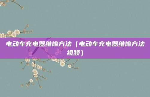 电动车充电器维修方法（电动车充电器维修方法视频）